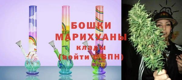 шишки Армянск