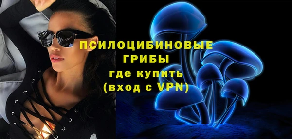 шишки Армянск