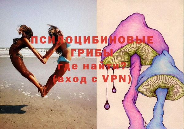 дмт Арсеньев
