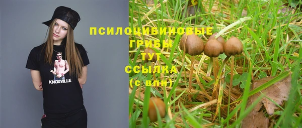 дмт Арсеньев