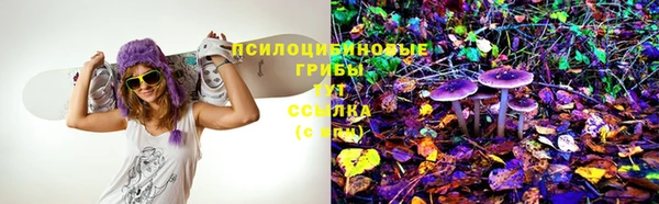 шишки Армянск