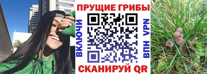 Галлюциногенные грибы ЛСД  hydra зеркало  Галич 